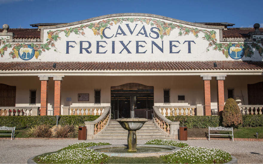 Visita a las Cavas Freixenet: reservas, visitas y precios.