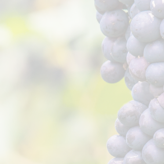 Ribera del duero
