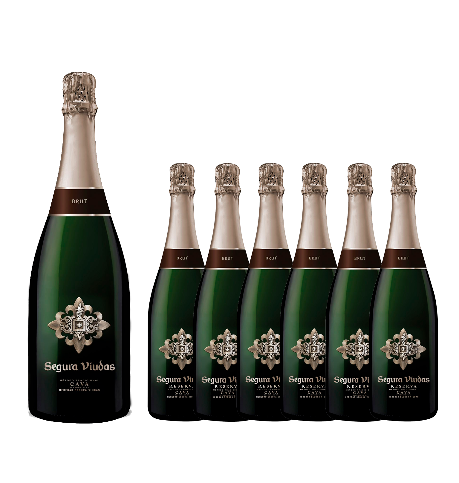 6 Segura Viudas Brut Reserva + Magnum Gratis