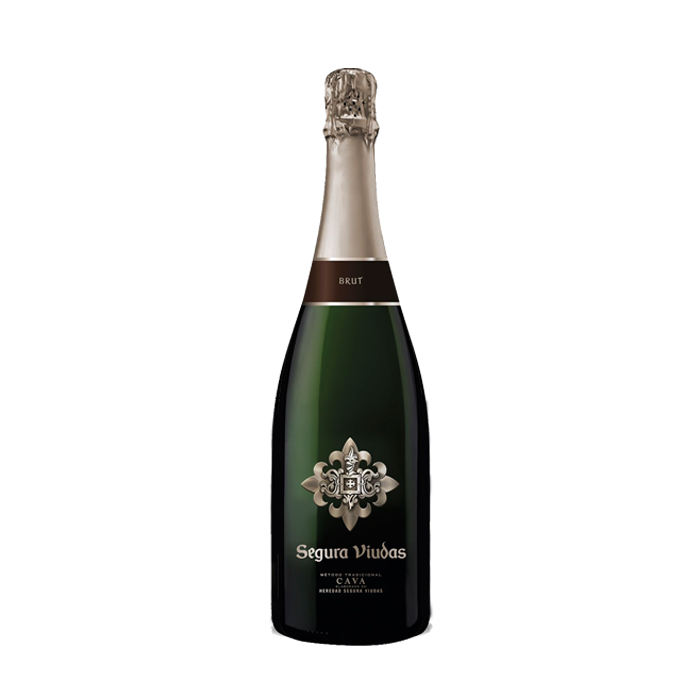 Segura Viudas Brut Reserva Magnum